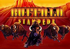 buffalo stampede slots|Review of the Buffalo Stampede Progressive Slot by .